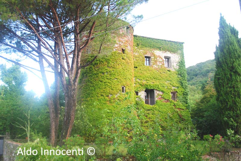 CASTELLO DI VILLA DI TRESANA: CASTELLO 5' IMMAGINE